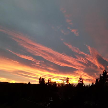 Ferienwohnung Haus Finkbeiner Kniebis Exteriör bild