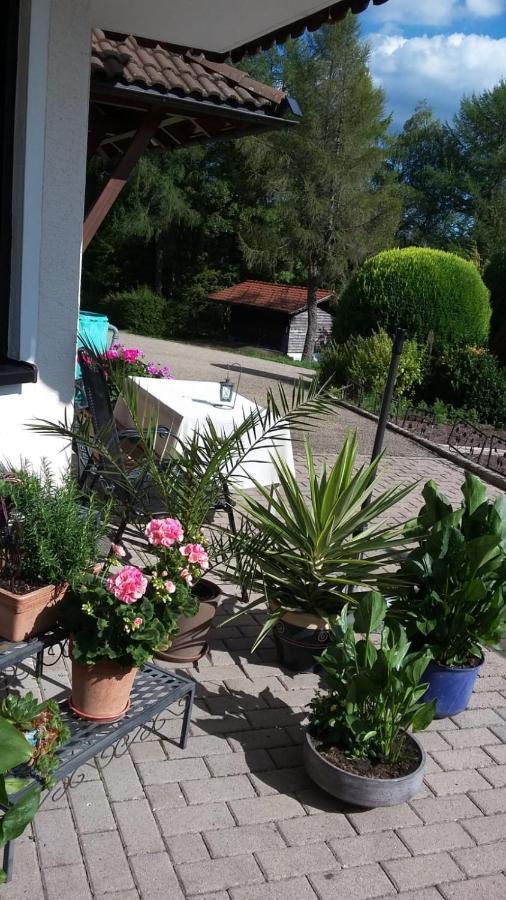 Ferienwohnung Haus Finkbeiner Kniebis Exteriör bild