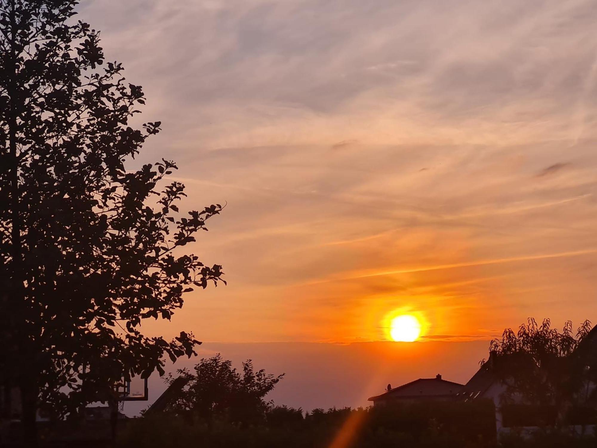 Ferienwohnung Haus Finkbeiner Kniebis Exteriör bild